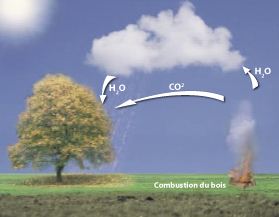 Schema CO2